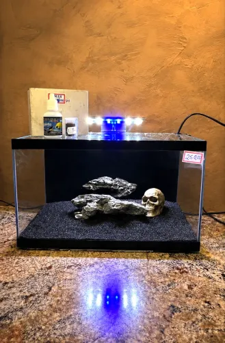 KIT AQUÁRIO 10 LITROS- LEIA DESCRIÇÃO