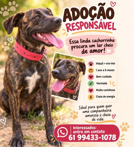 Adoção responsável 