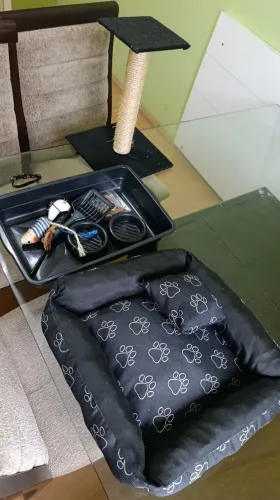 Caminha + arranhador+ brinquedos