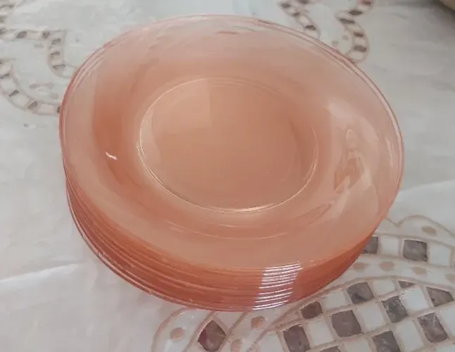 Kit de prato rosé nadir figueiredo 10 unidades