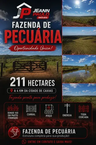 FAZENDA PARA PECUARIA COM 211HC EM CAXIAS.