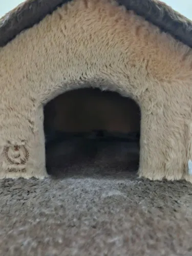 Casa de Gato