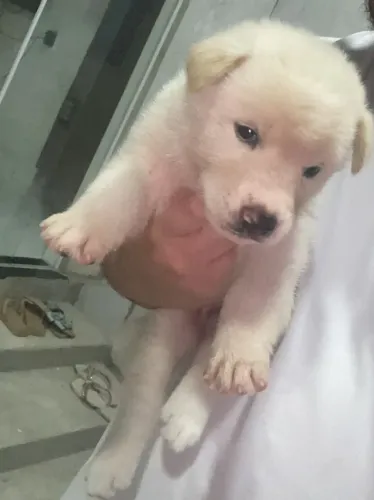 Vende se 
