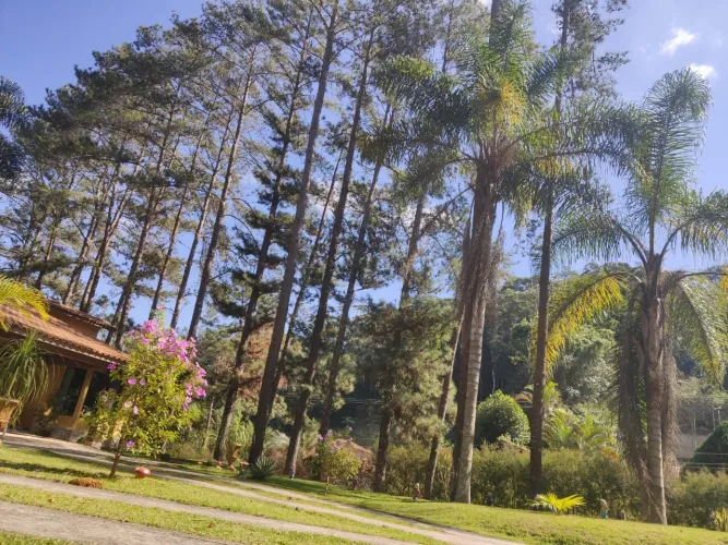 Casa Ipiabas