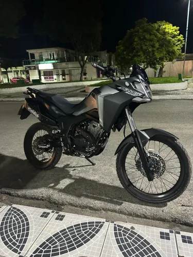 Shara 300
