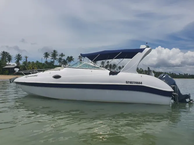 Lancha gabinada com motor de 225hp Yamaha 26 pés 