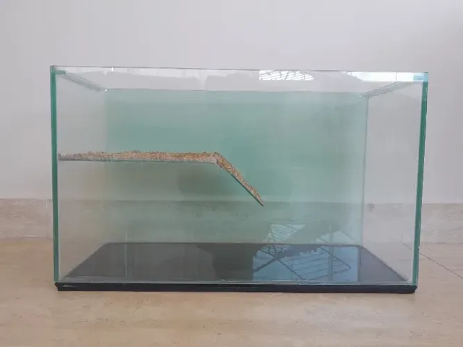 Aquaterrario, Aquário, 54 litros, 60x36x25cm