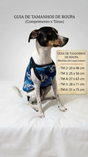 Kit Roupas de Pet