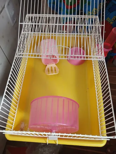 Gaiola de hamster completa