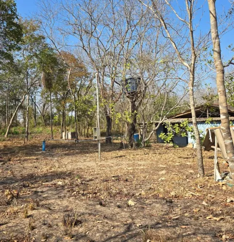 Imóvel para venda tem 15100 metros quadrados em Sucuri - Cuiabá - MT