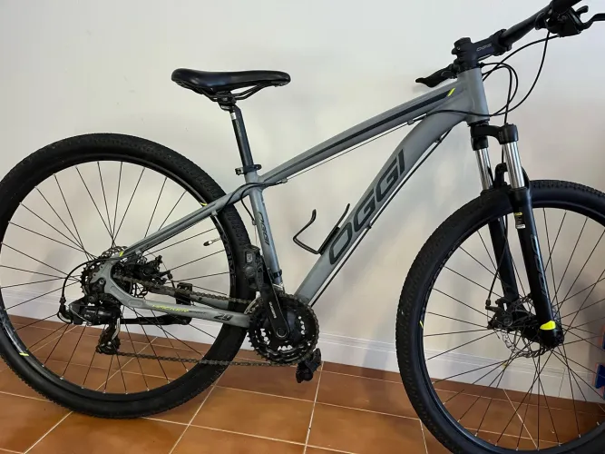 Bike Oggi aro 29? quadro 15,5