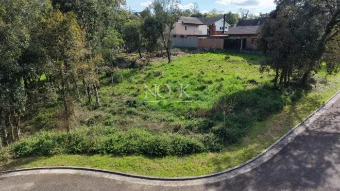 Terreno em Gramado: Natureza e Exclusividade para Construir