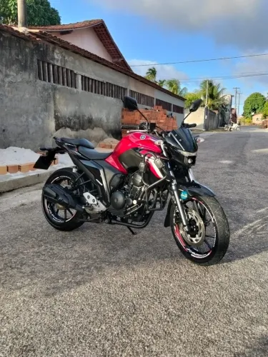 FZ 250