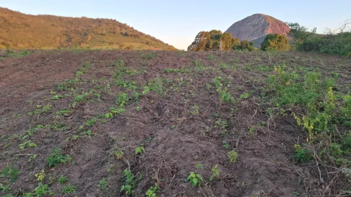 Área de terra rural de 184t a 8 km de Bonfim de Feira