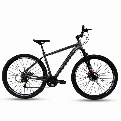 Bicicleta Alfameq aro 29
