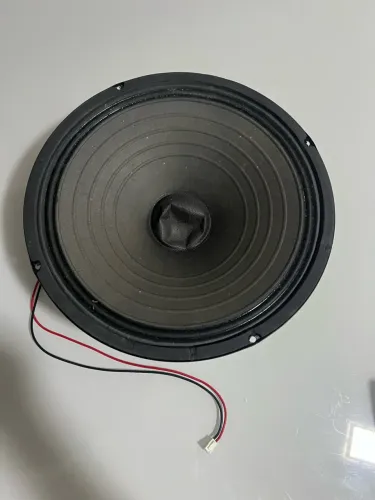 Auto falante de 12