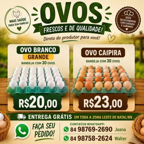Vendas de Ovos Branco e Caipira