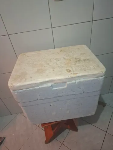 Isopor pra Bag Delivery