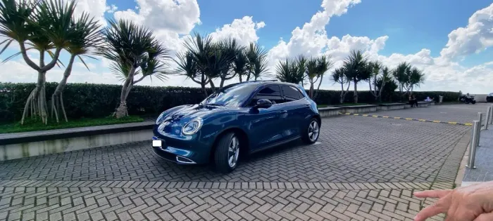 GWM Ora 03 Skin (elétrico) 2024
