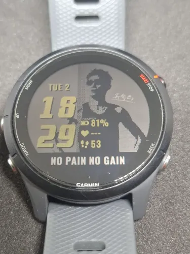Garmin forerunner 255