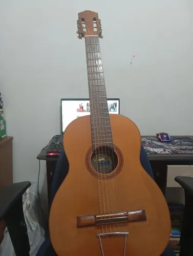 Vendo Violão di Giorgio
