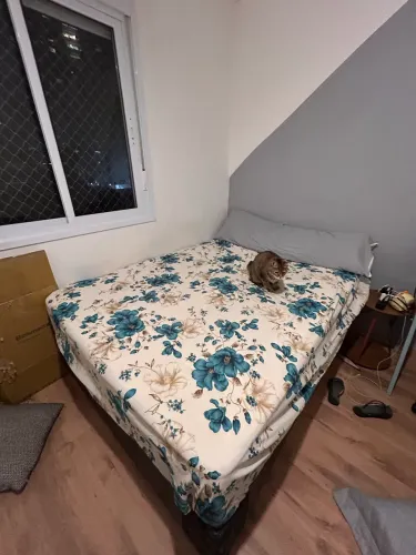 Colchão + Box
