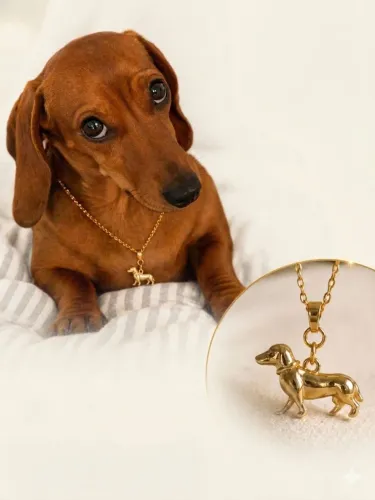 Presente Colar Pingente Dachshund Dourado
