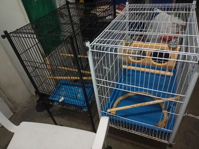 Vendo dóis viveiros.