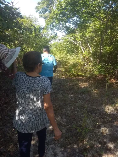 Terreno