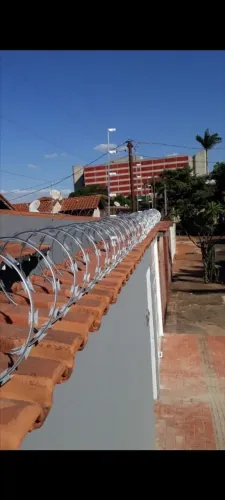 Cerca cortante