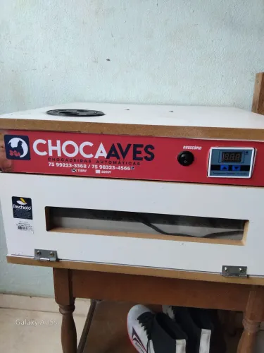 Chocadeira 