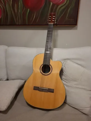 VIOLÃO STEINBERG NOVO