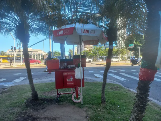 CARRINHO DE AMBULANTE. 