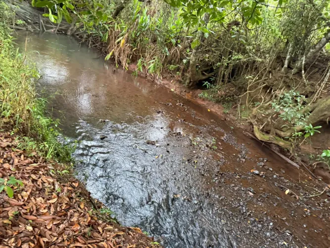 Terreno rural com muita água 