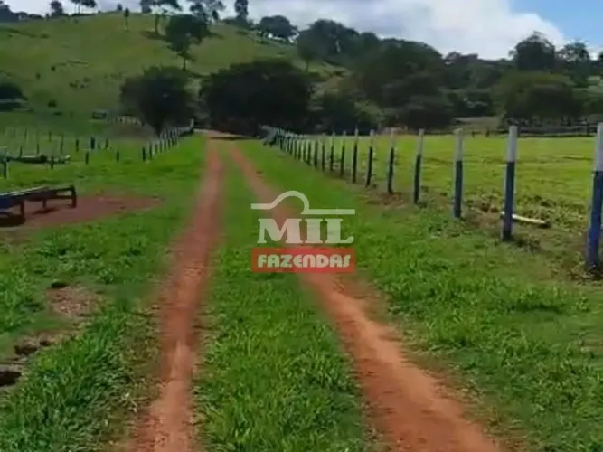 Fazenda 77 alqueires (272,68 hectares) Faína -Go