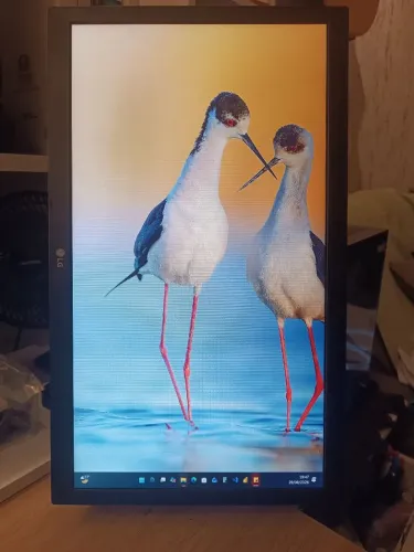 Monitor de 19 LG
