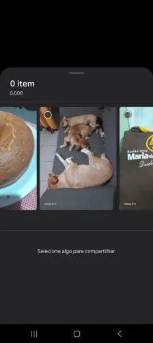 Doa -se  filhote de cachorrinhos. 