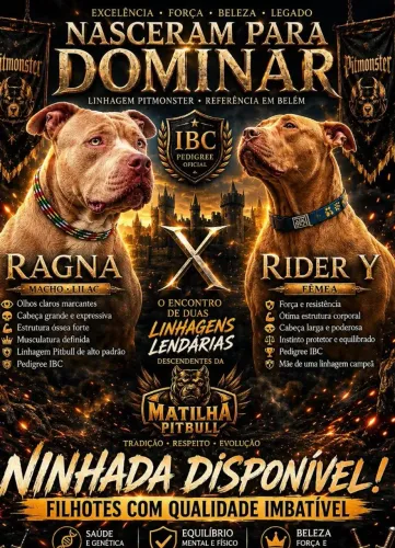 Filhotes de Pit Monster