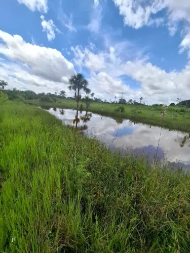 Fazenda Terra em roraima