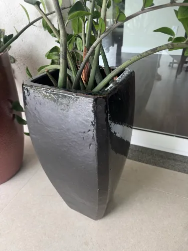 Vaso
