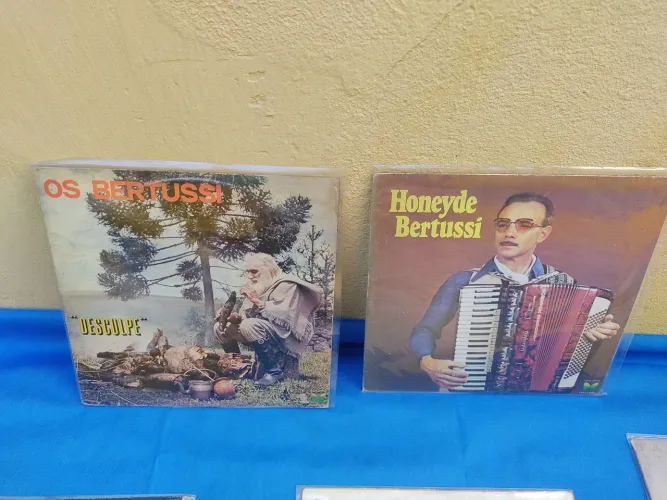 Irmãos Bertussi LP disco de vinil, bom estado capa e disco.
