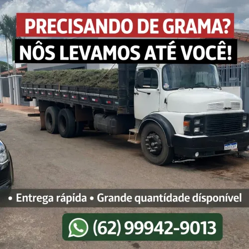 Vendemos e plantamos gramas 