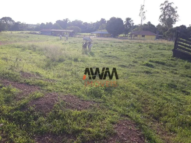 Fazenda à venda, m² por R$ 28.000.000,00 - Zona Rural - Duerê/TO