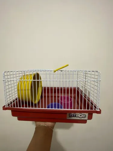 Vendo gaiola de hamsters