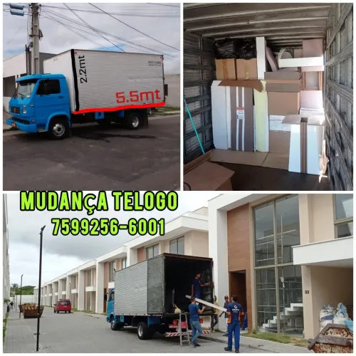 Cargas e Mudanças 