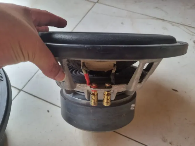 Sub Graves 12 tiger 800 rms 450 reais cada