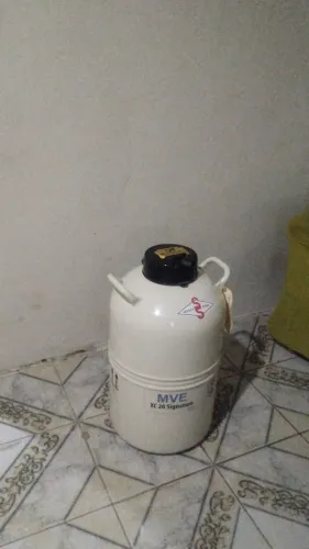 Botijão de sêmen 