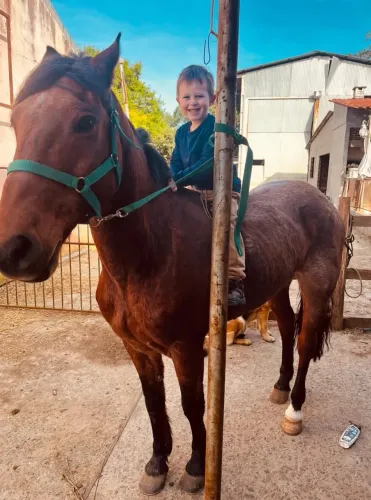 CAVALO ROSILHO