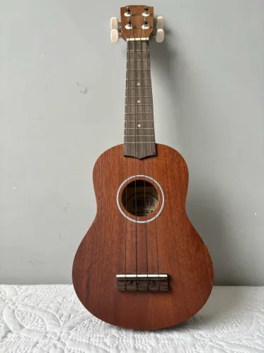 Ukulele Vogga