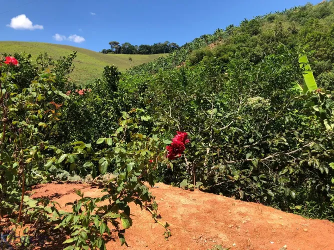 Chácara à venda em Perobas, Domingos Martins- ES
